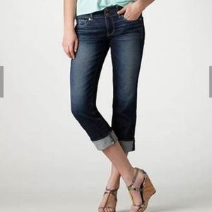 American Eagle Artist Crop Jeans